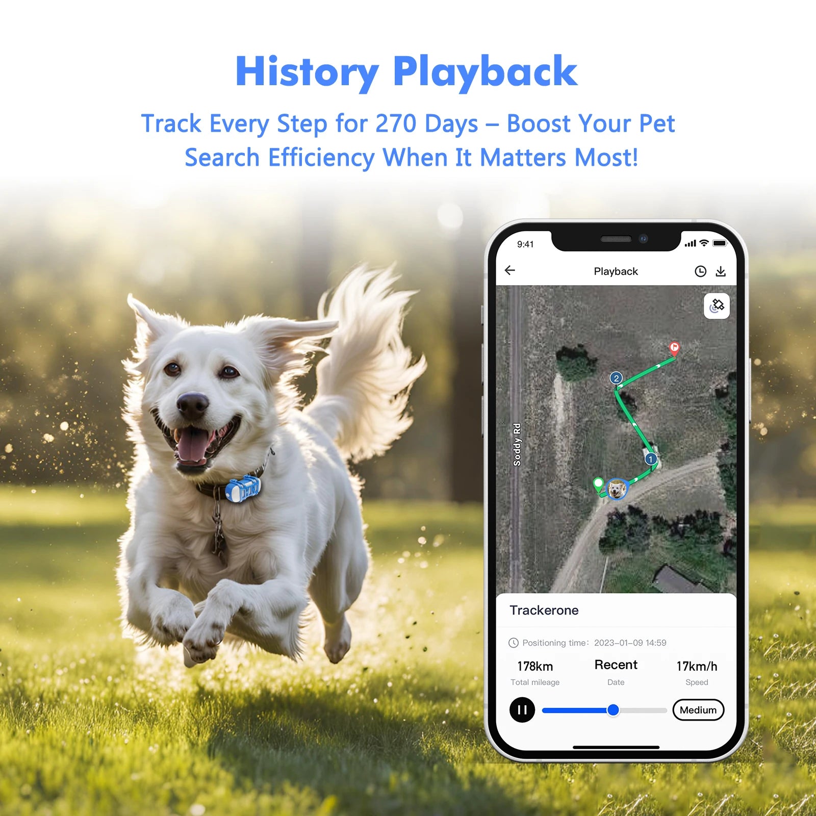 Gps tracker for dogs – Track Walks, Playtime & Safety All Day