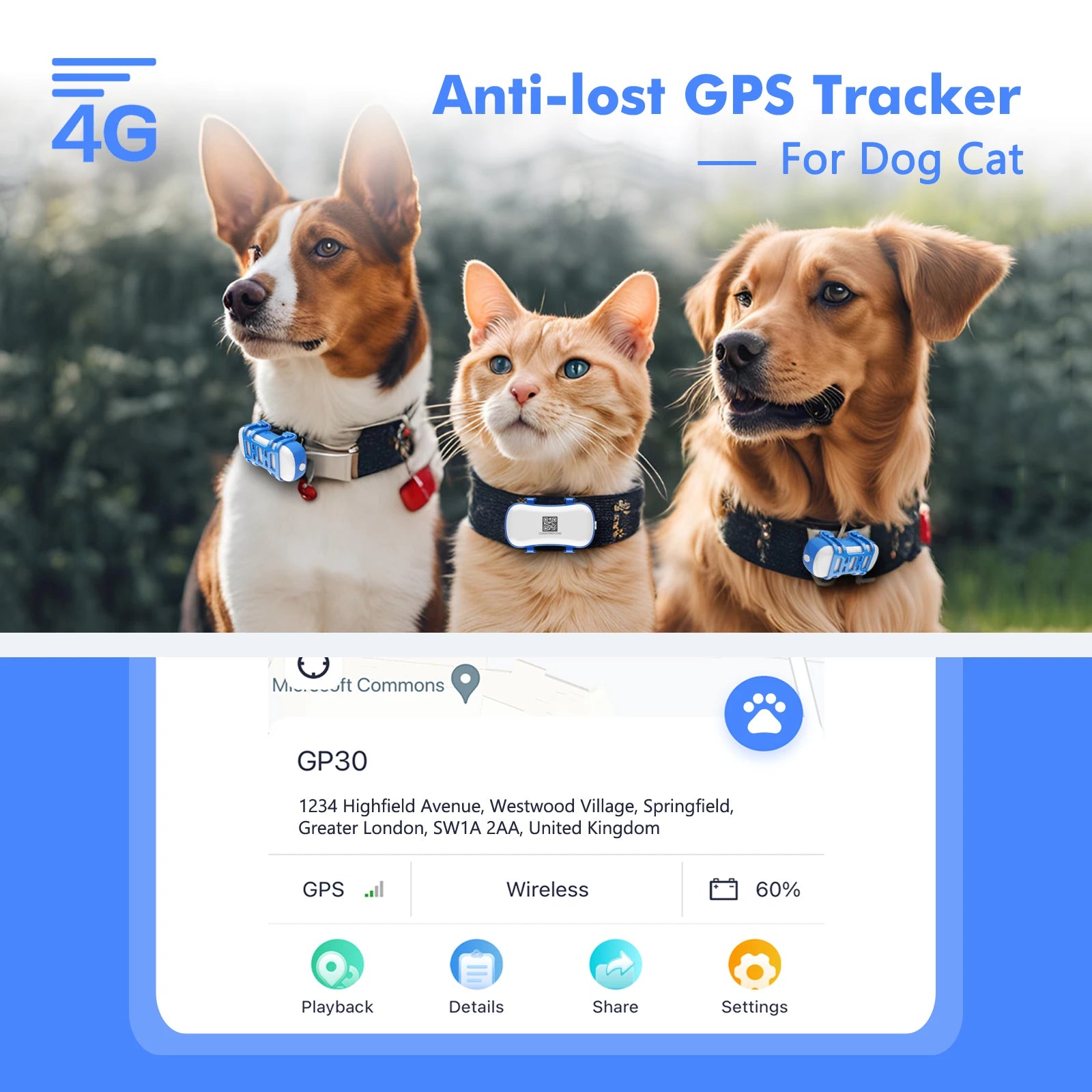 Gps tracker for dogs – Track Walks, Playtime & Safety All Day