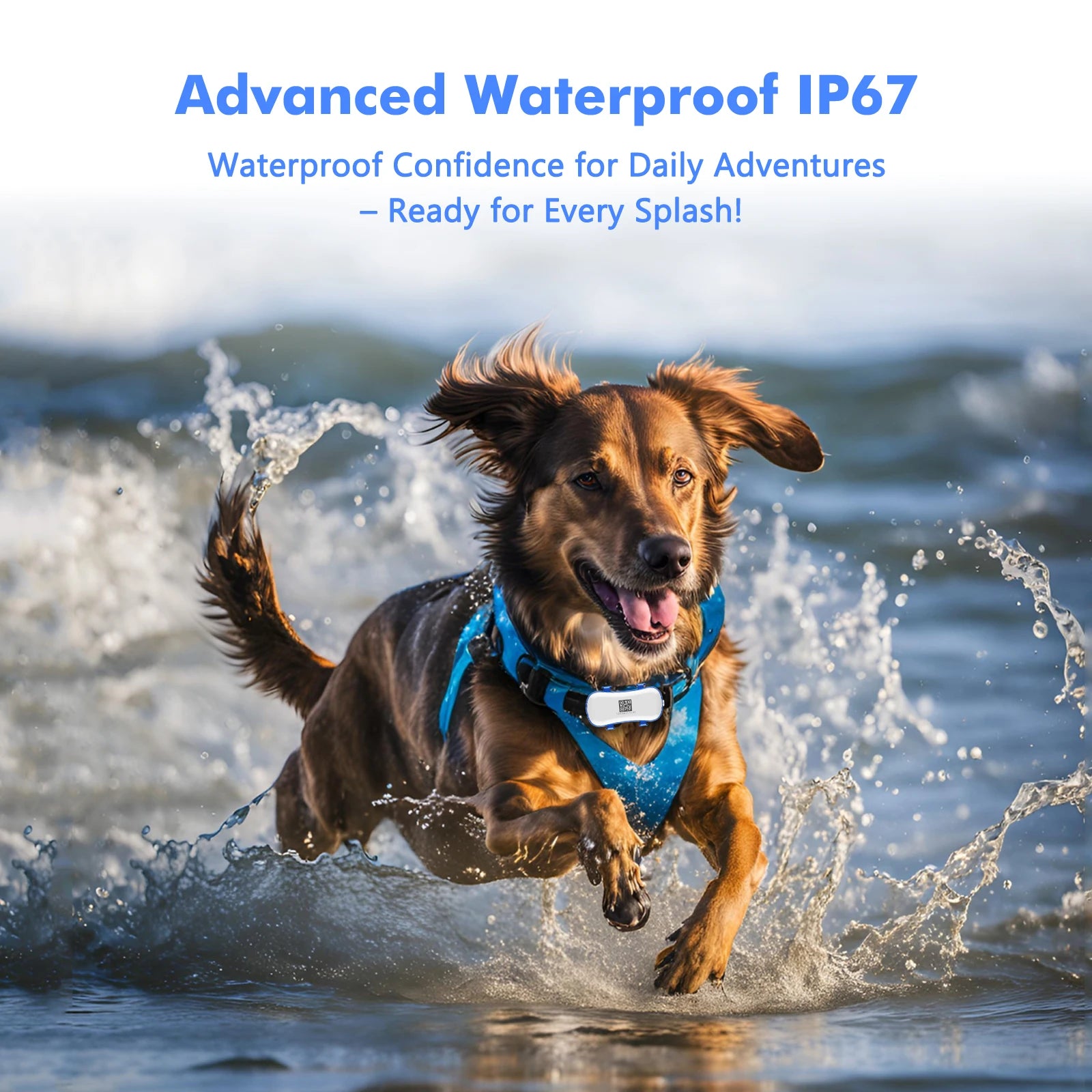 Gps tracker for dogs – Track Walks, Playtime & Safety All Day