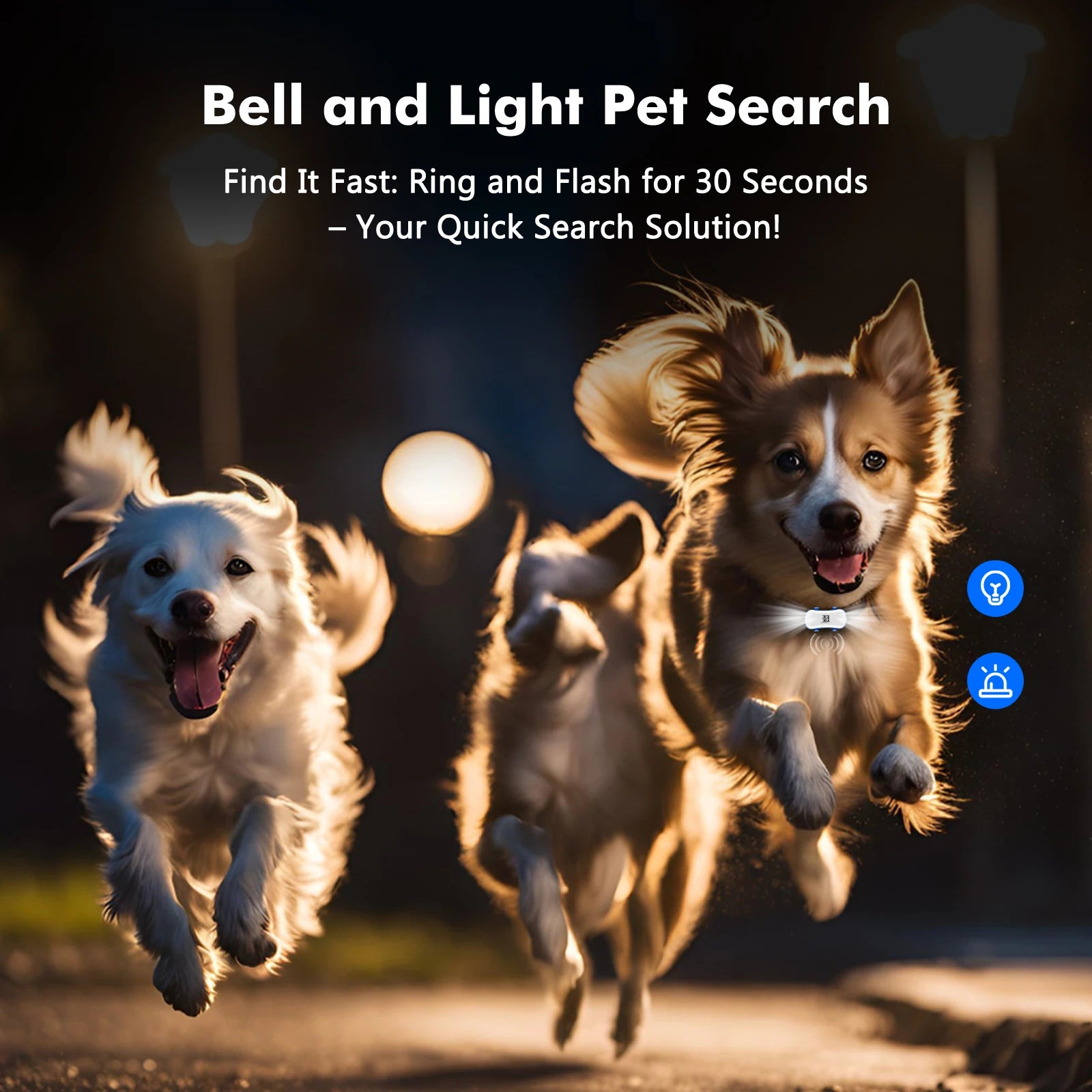 Gps tracker for dogs – Track Walks, Playtime & Safety All Day