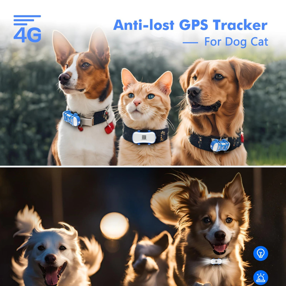 Gps tracker for dogs – Track Walks, Playtime & Safety All Day