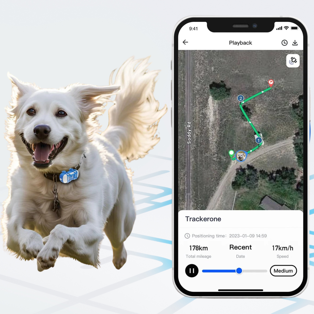 Gps tracker for dogs – Track Walks, Playtime & Safety All Day
